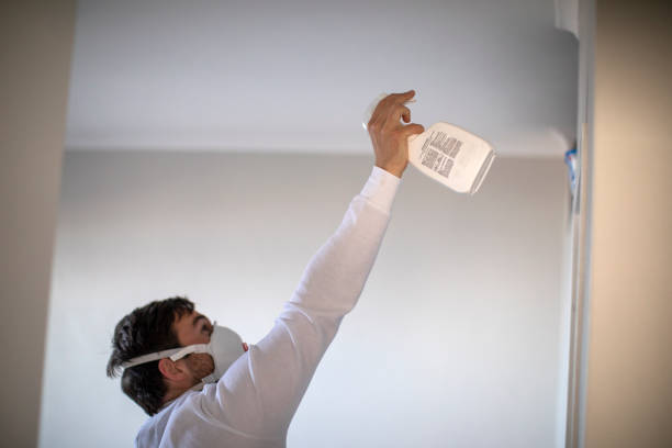 Best Attic Mold Removal  in Riverview, DE