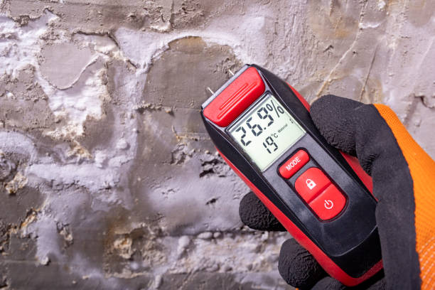 Best Mold Testing  in Riverview, DE