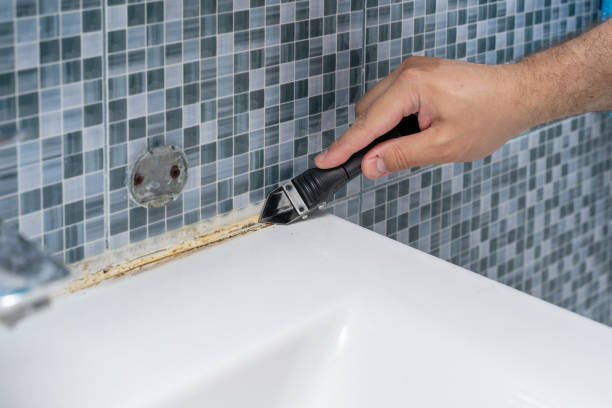 Best Fast Mold Removal  in Riverview, DE